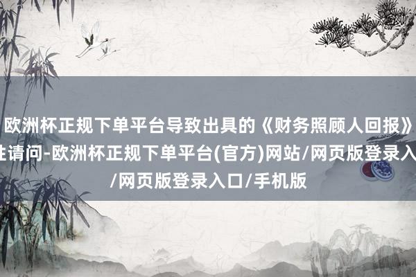 欧洲杯正规下单平台导致出具的《财务照顾人回报》存在误导性请问-欧洲杯正规下单平台(官方)网站/网页版登录入口/手机版